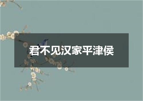 君不见汉家平津侯