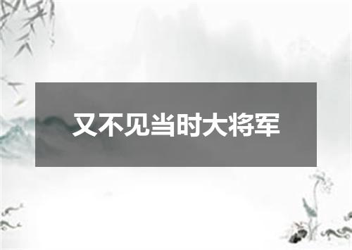 又不见当时大将军