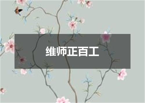 维师正百工