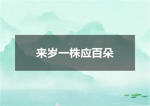 来岁一株应百朵