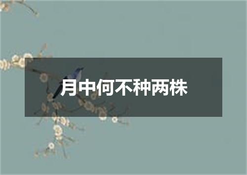 月中何不种两株