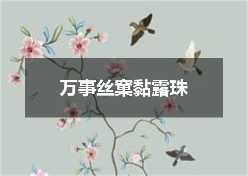 万事丝窠黏露珠