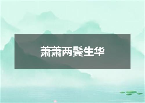 萧萧两鬓生华