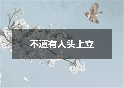不道有人头上立