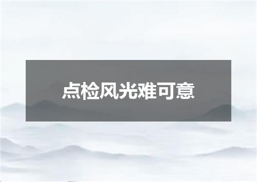 点检风光难可意