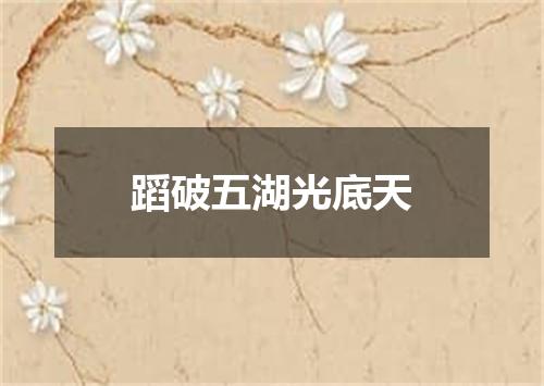 蹈破五湖光底天