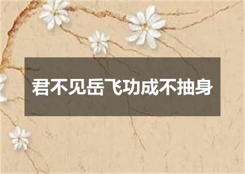 君不见岳飞功成不抽身