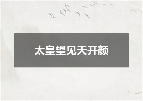 太皇望见天开颜