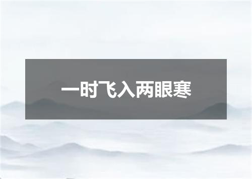 一时飞入两眼寒