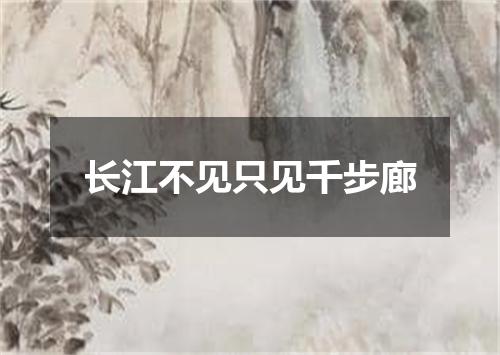 长江不见只见千步廊