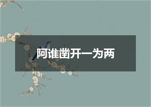 阿谁凿开一为两