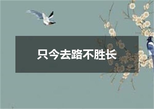 只今去路不胜长