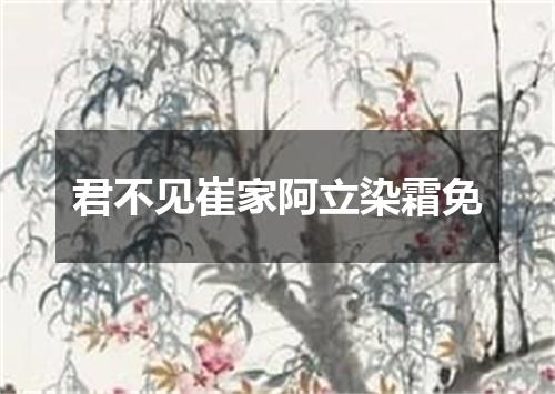 君不见崔家阿立染霜免