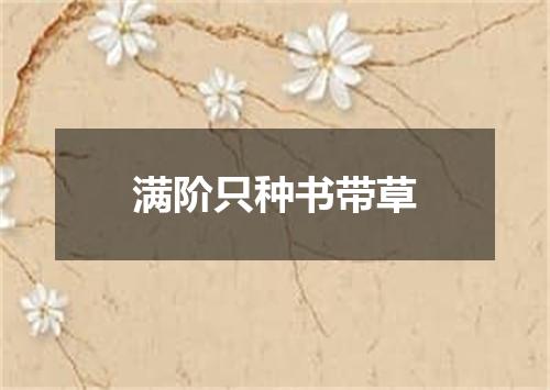 满阶只种书带草
