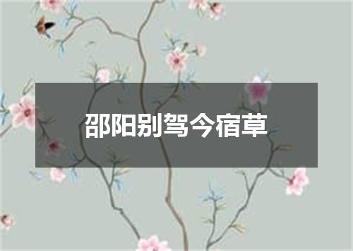 邵阳别驾今宿草