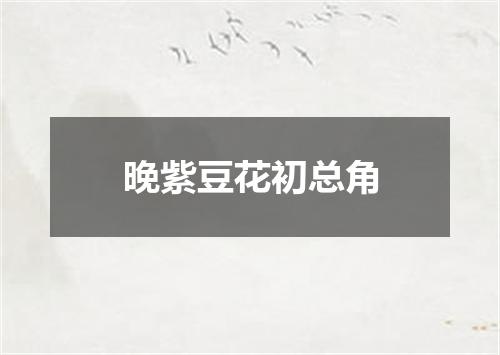 晚紫豆花初总角
