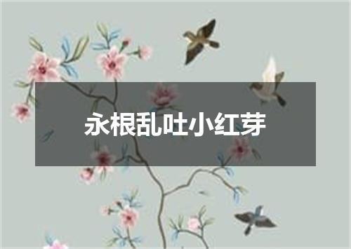 永根乱吐小红芽