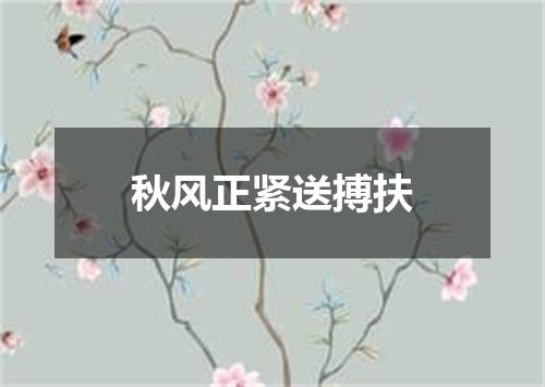 秋风正紧送搏扶