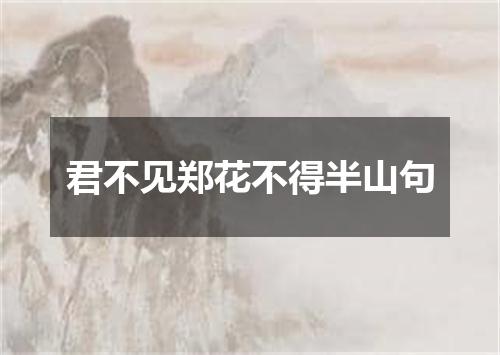 君不见郑花不得半山句