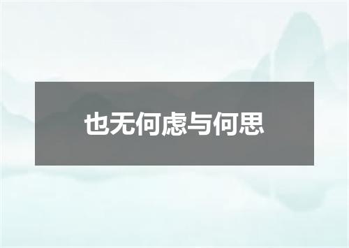 也无何虑与何思