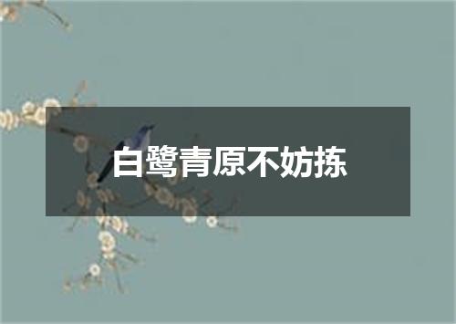 白鹭青原不妨拣