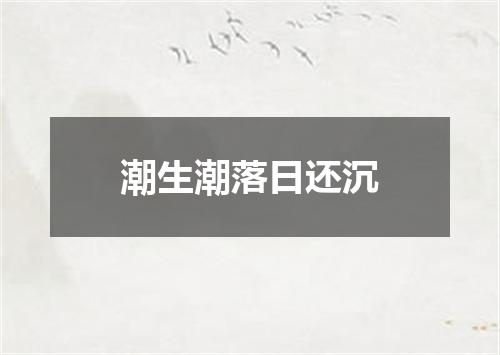 潮生潮落日还沉