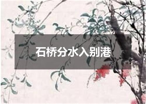 石桥分水入别港
