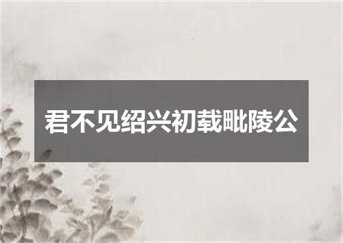 君不见绍兴初载毗陵公