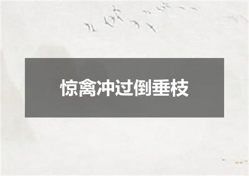 惊禽冲过倒垂枝
