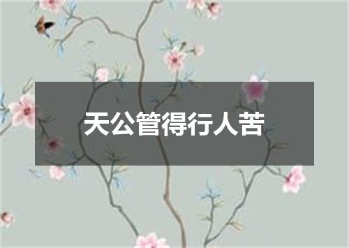 天公管得行人苦