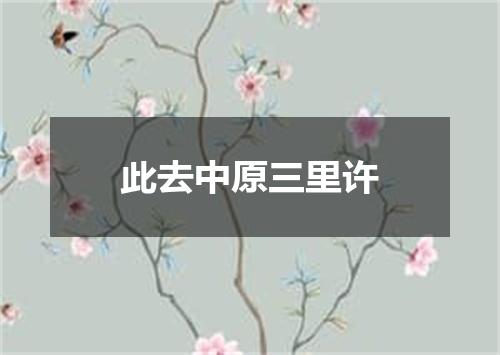 此去中原三里许