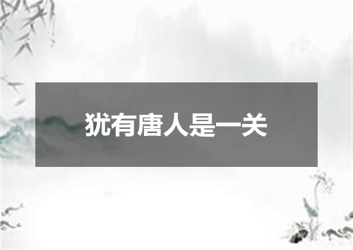 犹有唐人是一关