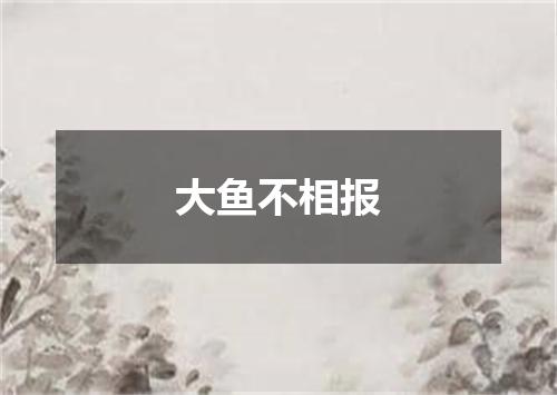 大鱼不相报