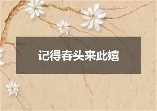 记得春头来此嬉