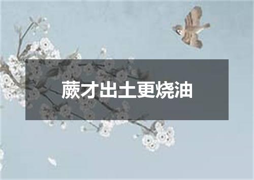 蕨才出土更烧油