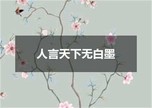 人言天下无白墨