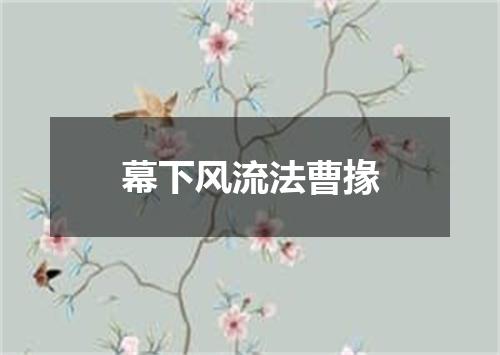 幕下风流法曹掾