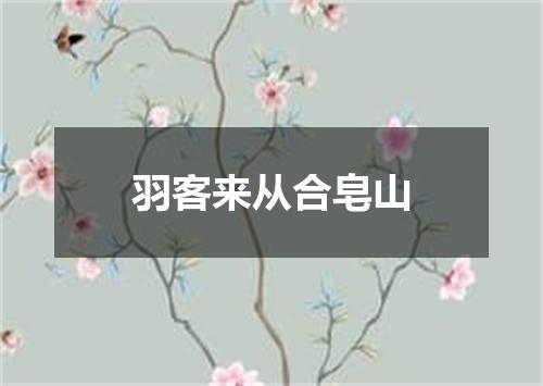 羽客来从合皂山