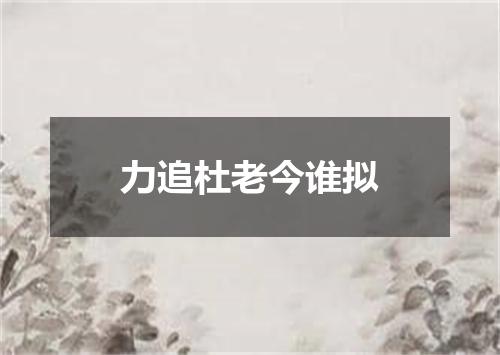 力追杜老今谁拟