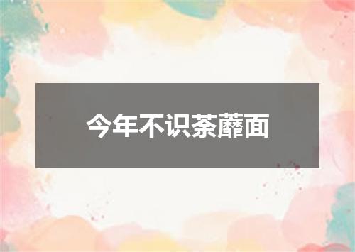 今年不识荼蘼面