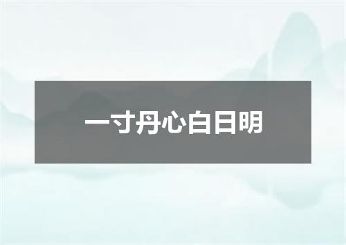 一寸丹心白日明