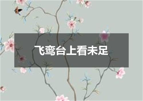 飞鸾台上看未足