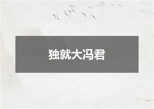 独就大冯君