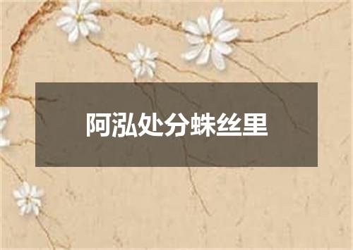 阿泓处分蛛丝里