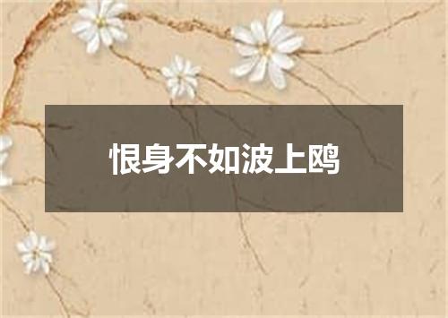 恨身不如波上鸥