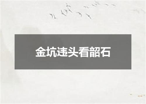 金坑违头看韶石