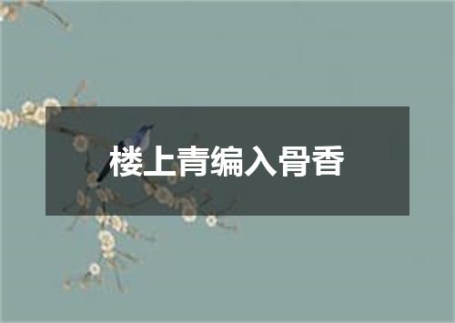 楼上青编入骨香