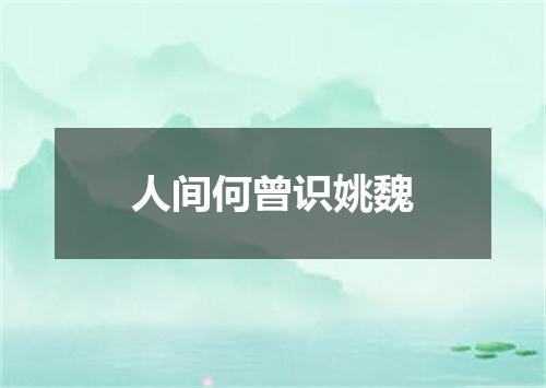 人间何曾识姚魏