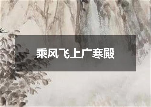 乘风飞上广寒殿