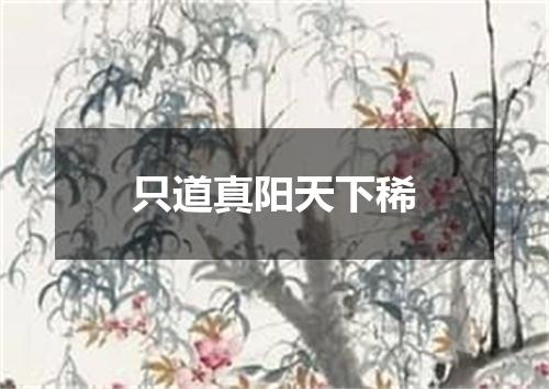 只道真阳天下稀
